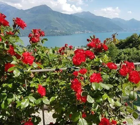 Apartment Giglio Rosso In Gravedona Ed Uniti *
